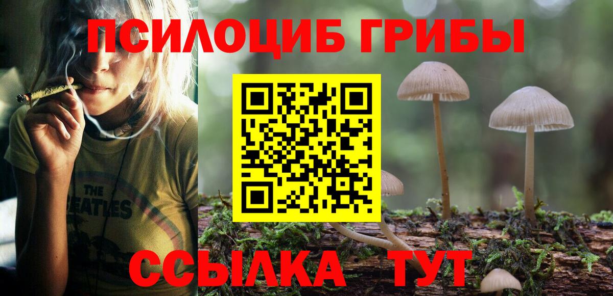 где найти наркотики  Вход с VPN  Арсеньев  Псилоцибиновые грибы прущие грибы 