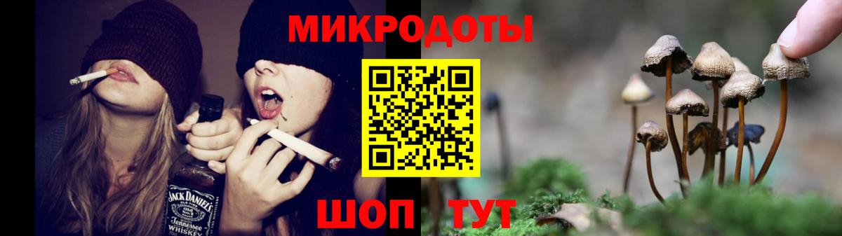 Галлюциногенные грибы мухоморы Арсеньев